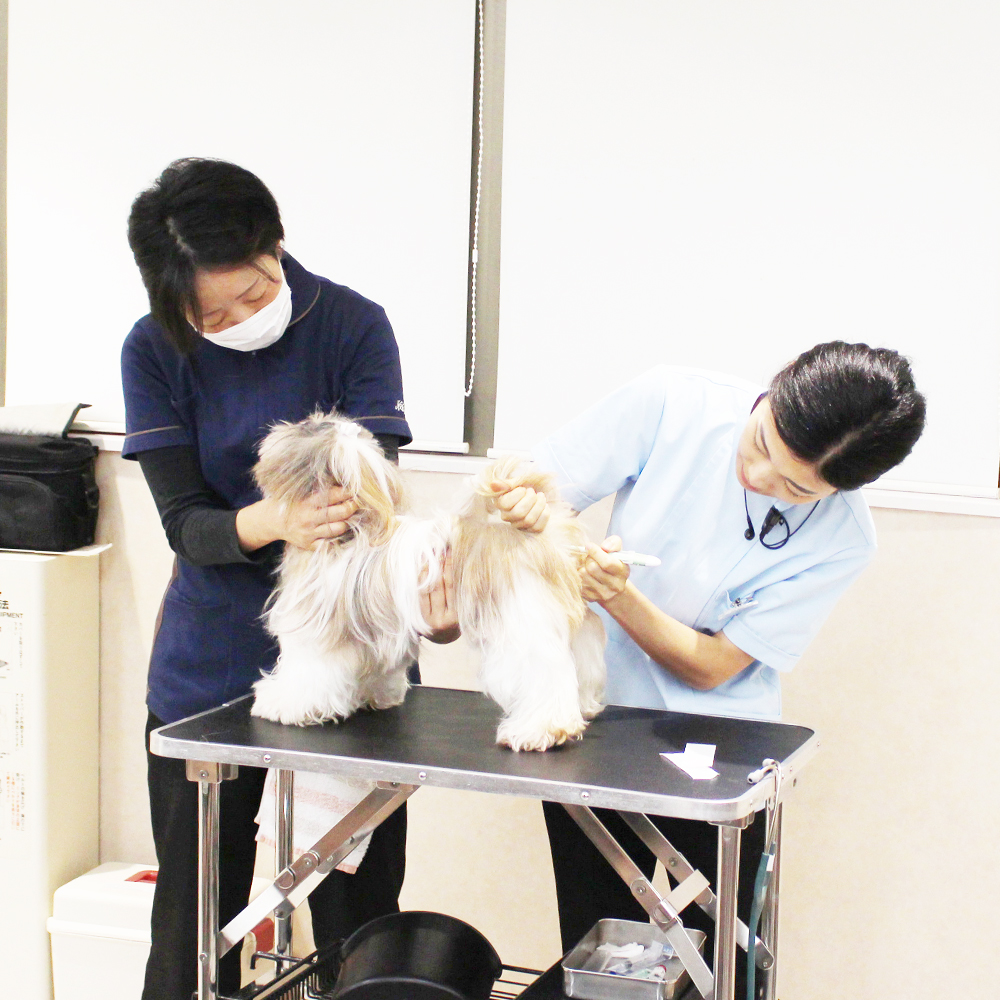 動物看護実習☆